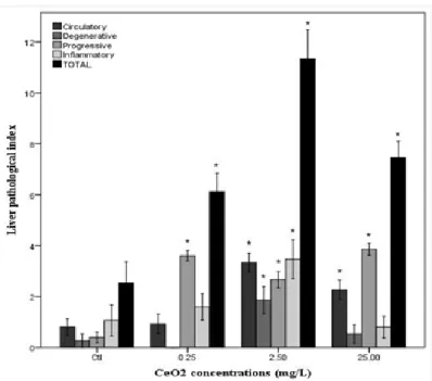 Figure  6  -  Histological  analyses  in  liver  after  exposed  to  CeO 2 -NPs. 