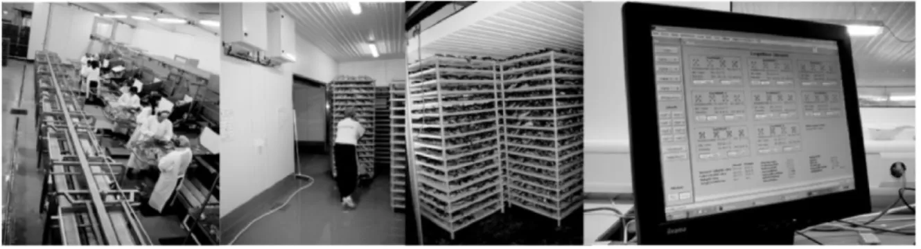 Figure 1.11 - Modern computer-controlled drying facility for cod heads: heads processing, racks  transport, racks in the primary drying chamber and control board (Kristbergsson and Arason, 