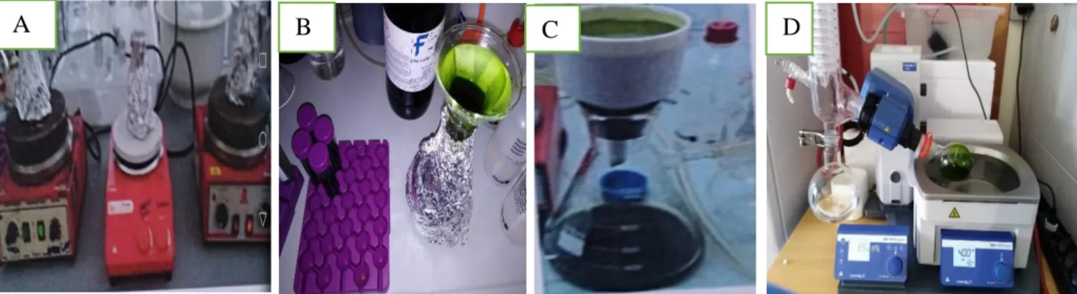 Figure 3: A: Extraction of the biomass using different solvents through stirring at room temperature