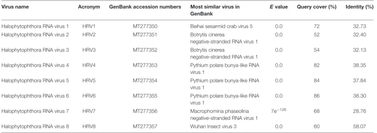 TABLE 2 | Identification of Halophytophthora viruses’ most similar RdRp sequences in the GenBank based on BLASTX search.