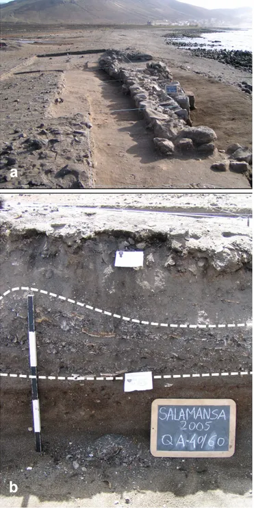 Figure 3  Archaeological excavation at the settlement site of Salamansa: a) over- over-view of the archaeological site; b) stratigraphic profile of the section from which the samples Salamansa QA Am1 and QA Am2 were collected