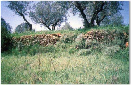 Figura 16. Local onde poderão ter existido as ruínas do Castelo de Ceras, em Alviobeira