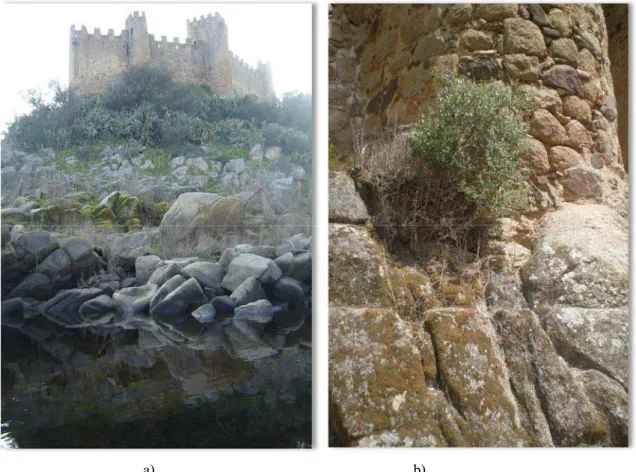 Figura 3. a) Afloramento rochoso sobre o qual foi erguido o Castelo. b) Base do Castelo assente no  afloramento rochoso