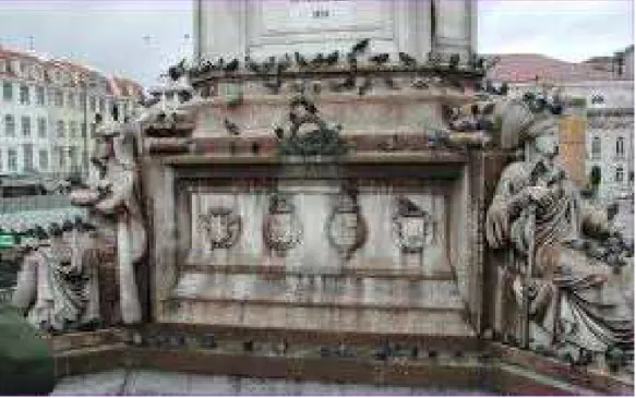 Figura 50. Pombos em monumentos. 