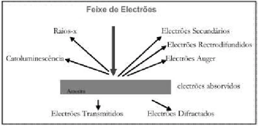 Figura 2. 6 - Tipos de radiação emitida pela matéria quando submetida a um feixe de  eletrões REF 