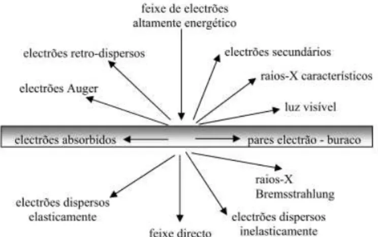 Figura 2. 8 - Gama de sinais emitidos durante a interação de um feixe altamente  energético de eletrões com um material (adaptado de [46]) 
