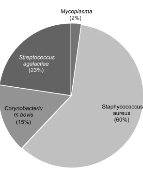 Figure 3. Percentage distribution of isolated contagious agents (n=137). 