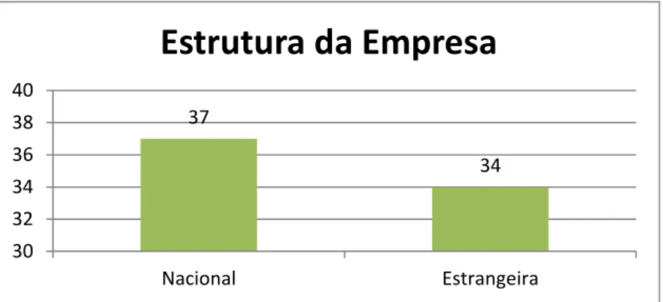 Gráfico 5 – Estrutura da empresa 