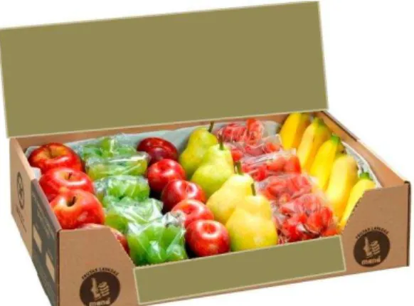 Figura 2  –  Caixa de fruta 
