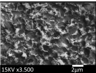 Figura 4  , contrastando com os compósitos micropartículados da primeira geração (Gan  et al., 2016; Nandini, 2010)