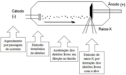 Figura 1 – Esquema de produção de raios-X  (Silva, 2008) 