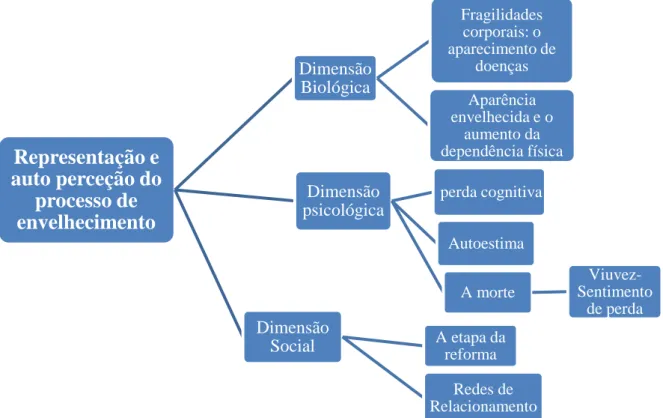 Figura 2: Representação e auto perceção do processo de envelhecimento 
