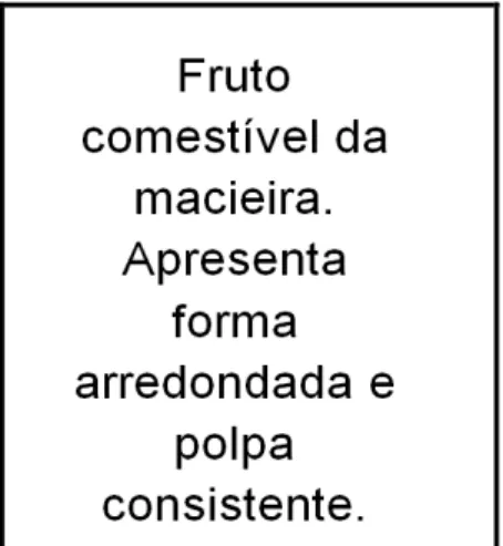 Figura XI  –  Representação conceitual de maçã. 