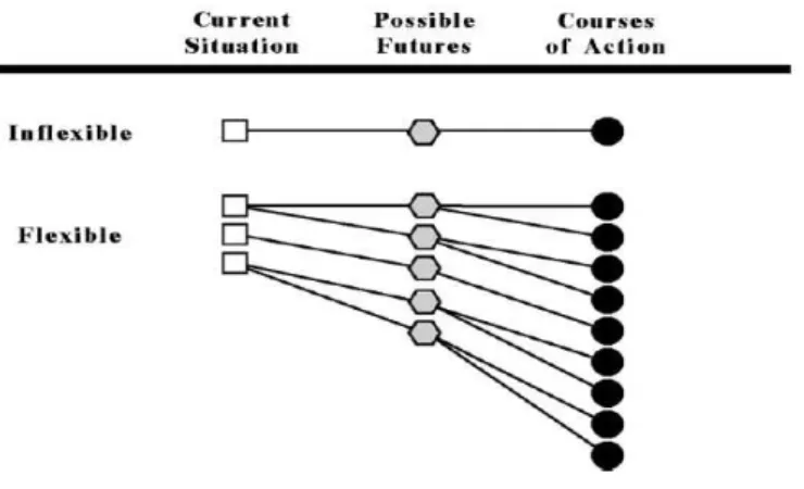 Figura 4 - Organizações flexíveis versus inflexíveis (ALBERTS; HAYES, 2003) 