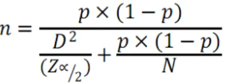 Figura D.1: Fórmula para cálculo de uma amostra, numa população finita. 