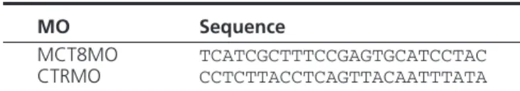 Table 1. Primers Used for PCR Cloning and Mutagenesis