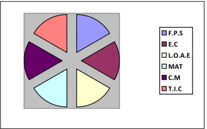 Gráfico 4: Os objetivos trabalhados em cada área de conteúdo. 