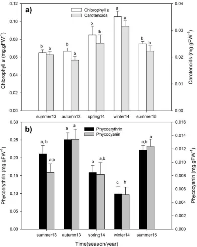 Figure 2.7. Seasonal chlorophyll a and carotenoid pigment content (a), and phycoerythrin and  phycocyanin pigment content (mg.gFW -1 ) (b) of Phymatolithon lusitanicum