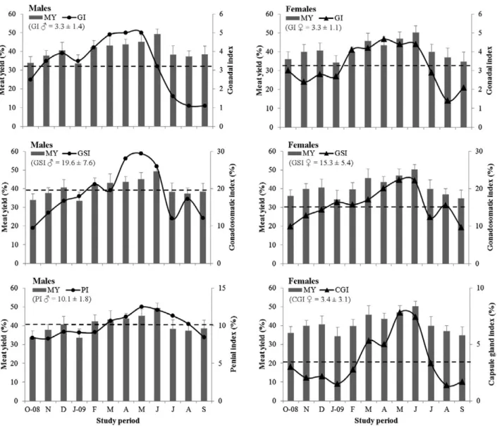 Fig. 6. – Influence of diverse indicators of the reproductive status of Bolinus brandaris males and females on the respective MY during  the study period (October 2008 - September 2009)