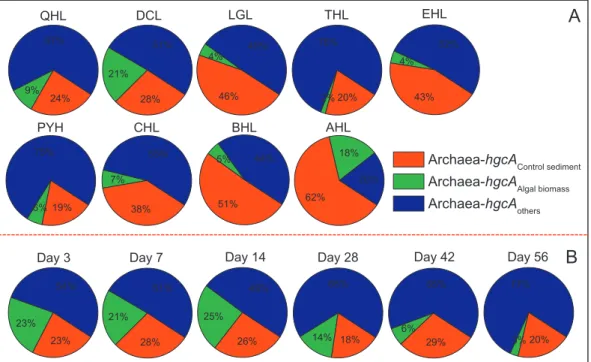 Fig. 4. Contributions of Archaea-hgcA copies in ‘ Algae ’ sediments of 9 major lakes (A) and the Chaohu Lake after 56 day incubation (B)