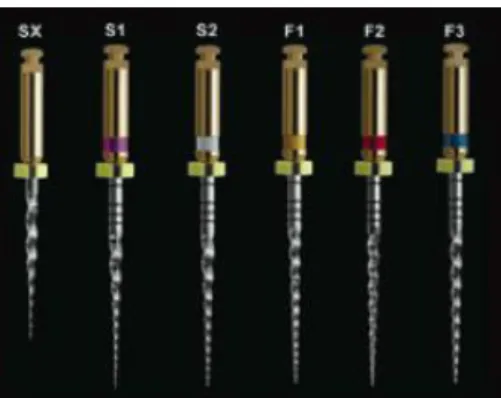 Figura 5 – Limas ProTaper (retirado de West 2006) 