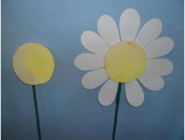 Figura 6  –  Flores sem e com pétalas 