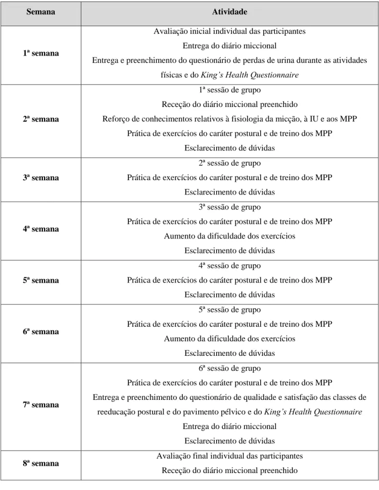 Tabela 5. Cronograma das CRPPP) 