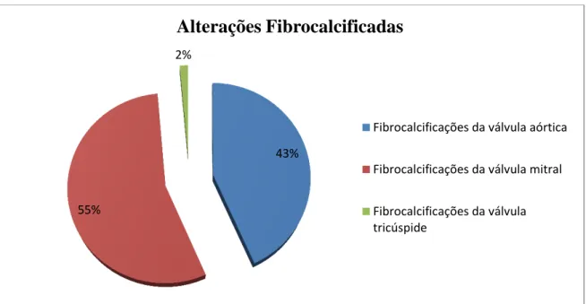 Gráfico 4: Alterações fibrocalcificadas encontradas durante o período de estágio no HS