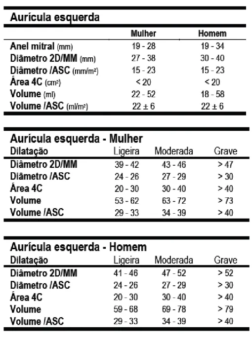 Tabela 1  – Quantificação da AE. Tabela integralmente retirada de “ Lígia Mendes. (2009).