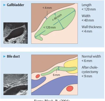 Figura 2.18 - Dimensões normais da vesicula biliar, espessura da VBP 
