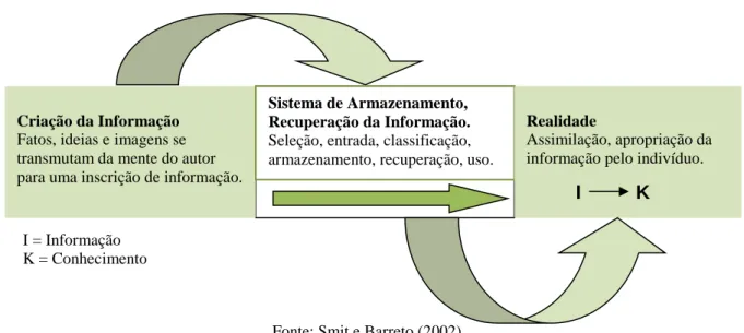 Figura 6 - Modelo de fluxo interno e os fluxos extremos da informação.