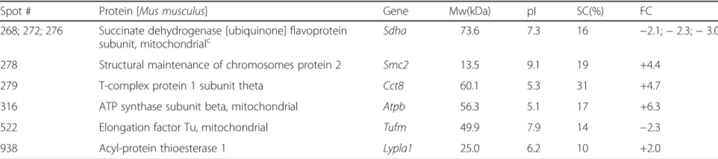 Table 2 Proteins differentially abundant in PK1 neuroblastoma cells knockdown for the prion protein