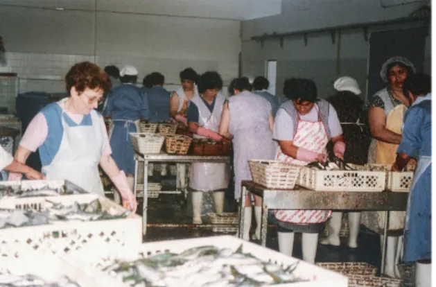 Figure 1 – Women working on fresh fish