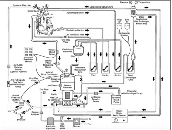 Figura 3 - Diagrama representativo de um circuito de CEC (Fonte: Gravlee G, Davis R, Stammers A, et al