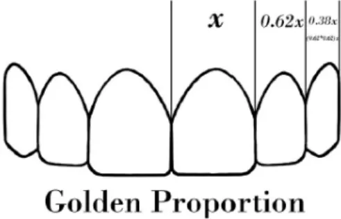 Figura 1 - Representação gráfica da proporção áurea. (sem autorização do autor)[17] 