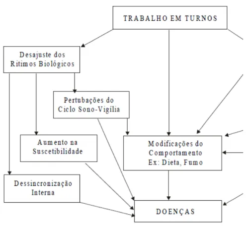 Figura 1. Modelo de Knutsson 