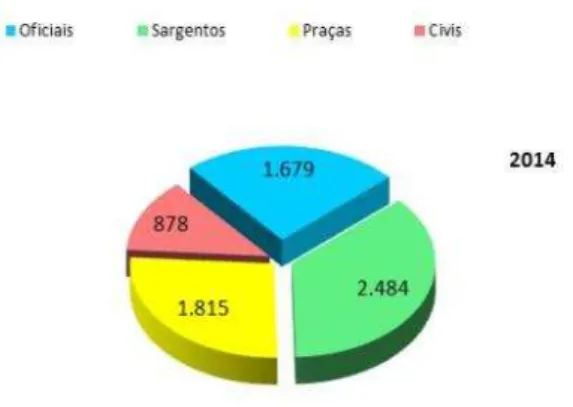 Figura 1. Efetivos da Força Aérea 2014 