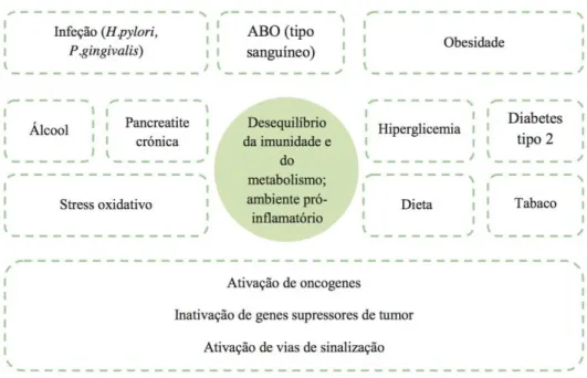 Figura 1: Fatores de risco/fisiopatologia do cancro do pâncreas (Adaptado de Michaud, 2013)