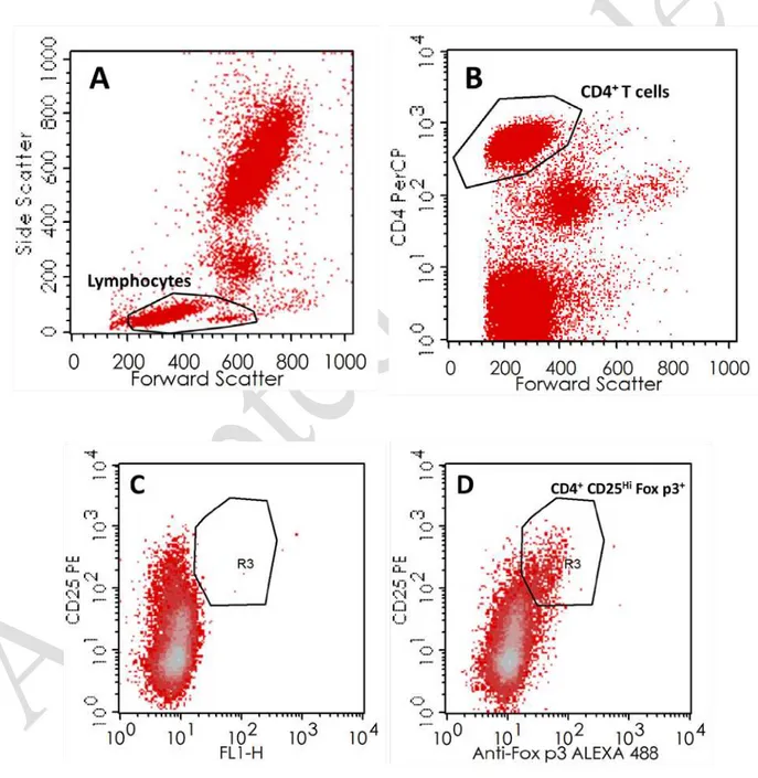 Figure 1. Gating strategies for the identification of distinct regulatory T cells subsets