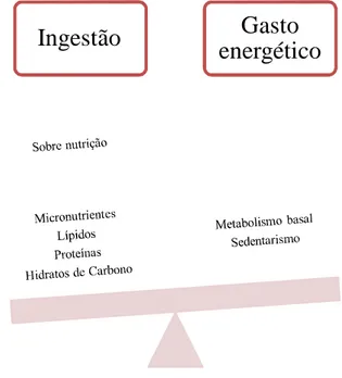 Figura 2: Sobre nutrição e desequilíbrio energético 