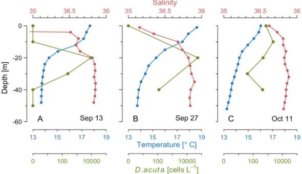 Figure 6. Vertical profiles of temperature (blue), salinity (red), and D. acuta cell densities (green), on  the adjacent shelf during three cruises on (A) 13–14 September, (B) 27–28 September, and (C) 11–12  October.