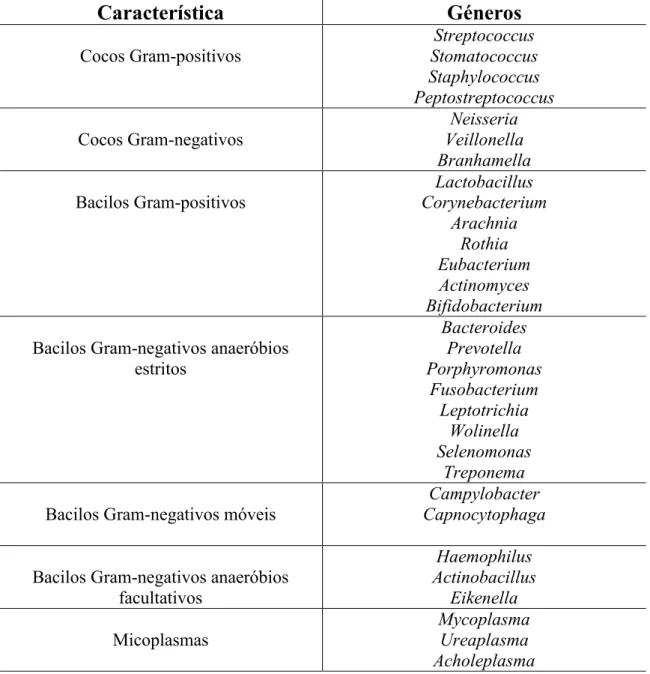 Tabela  1: Microrganismos  que  compõem  a  flora  comensal  oral  (adaptado  de  Jorge,  1998 e Samaranayake, 1996)
