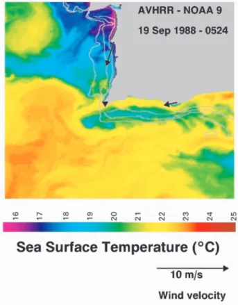 Figure 14. Mean sea level computed from tide gauge measurements, corrected for the inverted barometric effect at Sines, Lagos, and V.R.S
