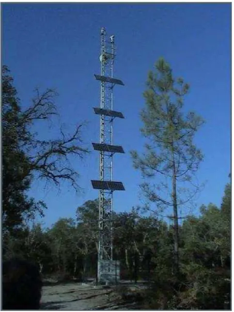 Figura 2.4: Torre de vigilância do Sistema CICLOPE (Fonte: INOV) 