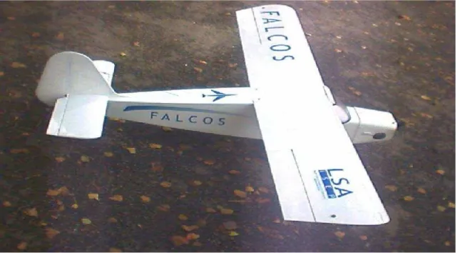 Figura 2.6: Aeronave de Observação Não Tripulada FALCOS (Fonte: ISEP) 