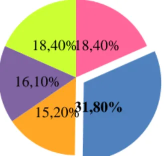 Gráfico 5. Representação gráfica da variável actividade laboral 