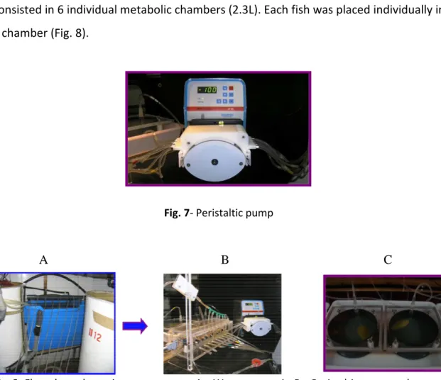 Fig. 7- Peristaltic pump         