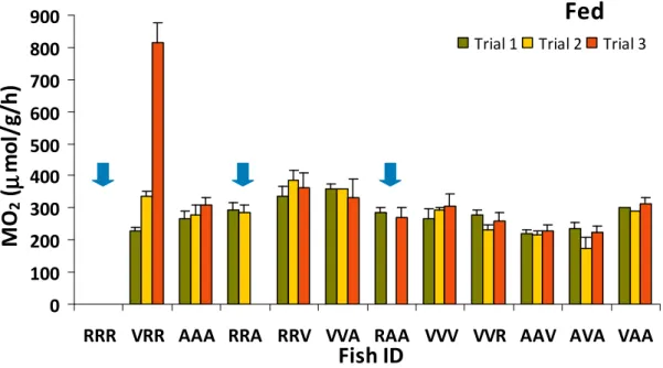 Fig.  14  -Individual  measurements  of  oxygen  consumption  ( µ mol  O 2 /g/h)  in  Senegalese  sole  juveniles during the Fed phase at days 120, 127 and 134 (n =11)