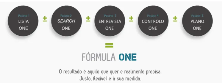 Figura 1  –  Pacotes ONE 