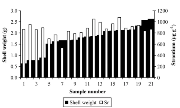 Fig. 3. Shell weight (g) and strontium concentrations ( μ g g − 1 ) in each of the 21 specimens of B
